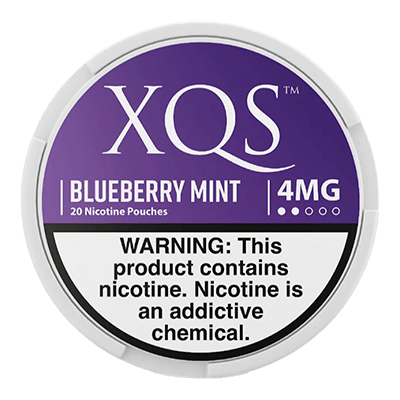 XQS Blueberry Mint 4MG – European Nicotine Pouches